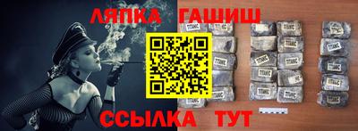 индика Можга