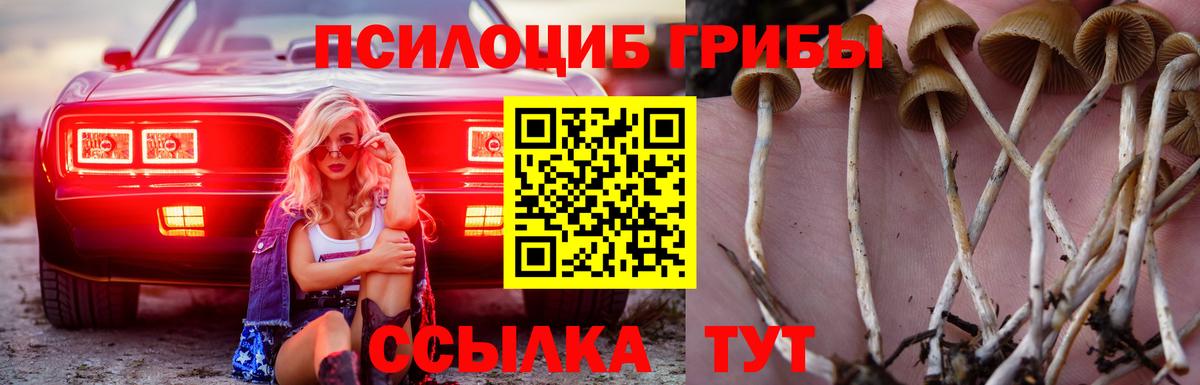 Дедовск  Псилоцибиновые грибы MAGIC MUSHROOMS  Вход с VPN  Галлюциногенные грибы мицелий 