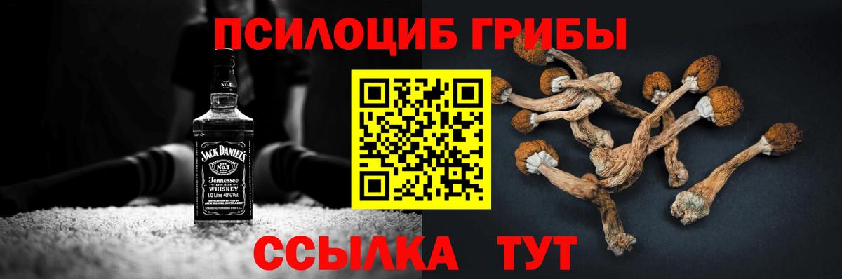 Псилоцибиновые грибы Cubensis Дедовск